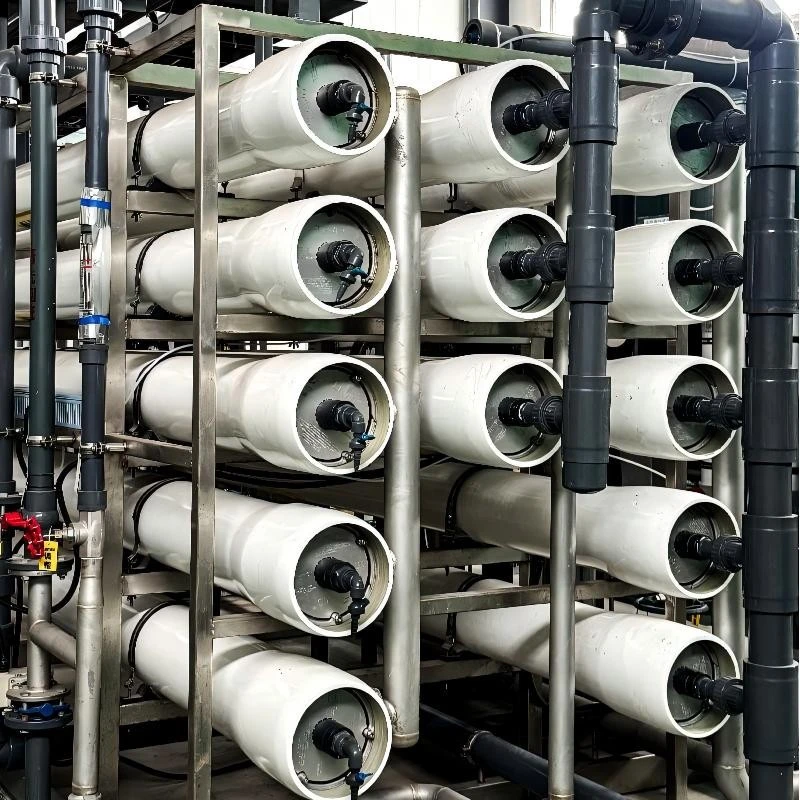 Double Pass RO factory